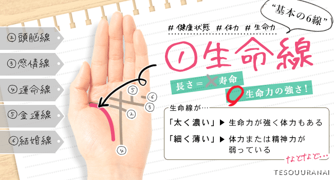 生命線