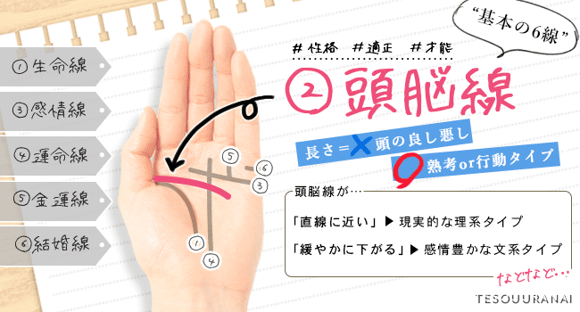 頭脳線