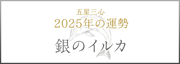 銀のイルカ2025年の運勢