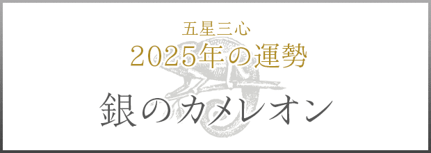 銀のカメレオン2025年の運勢